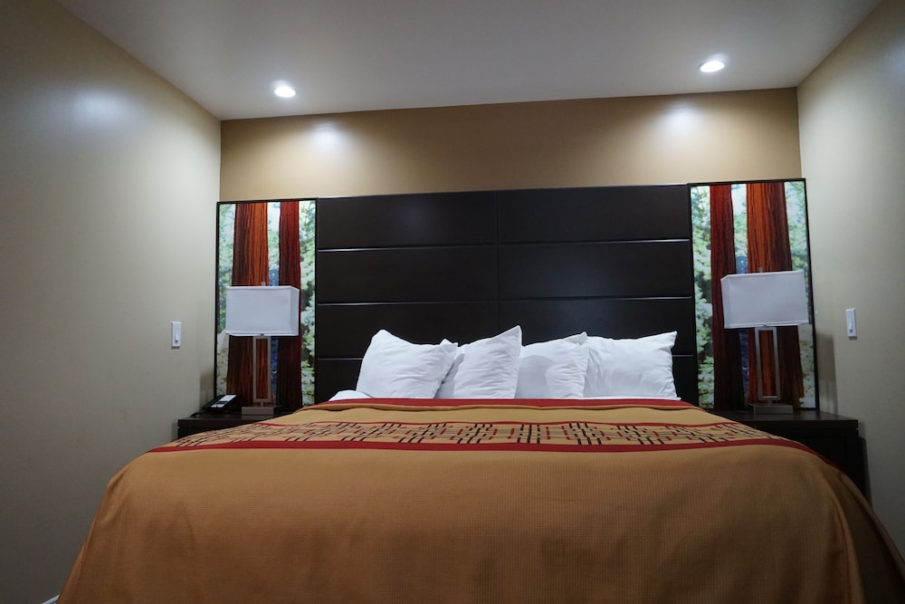 Muir Woods Lodge (ex Americas Best Value Inn and Suites - Mill Valley/San Francisco) 23/43