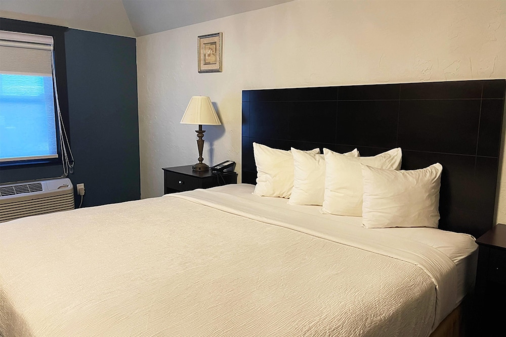 Studio, Suite, King Bed