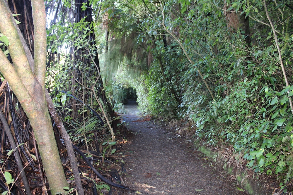 WAITOMO CAVES GUEST LODGE 62/73