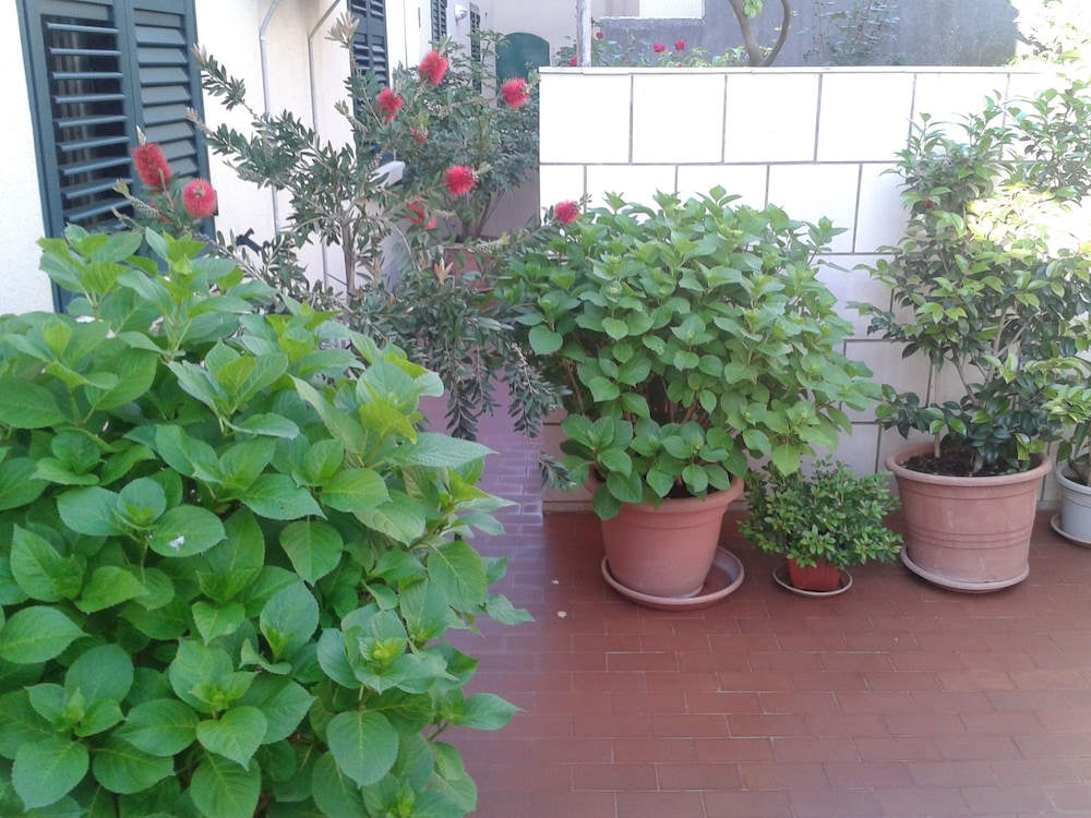 Anna Guesthouse 46/50