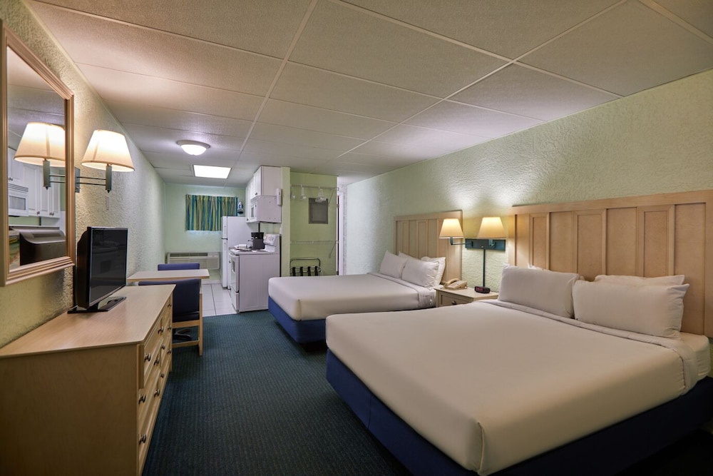 Palmetto Inn &amp; Suites 19/67