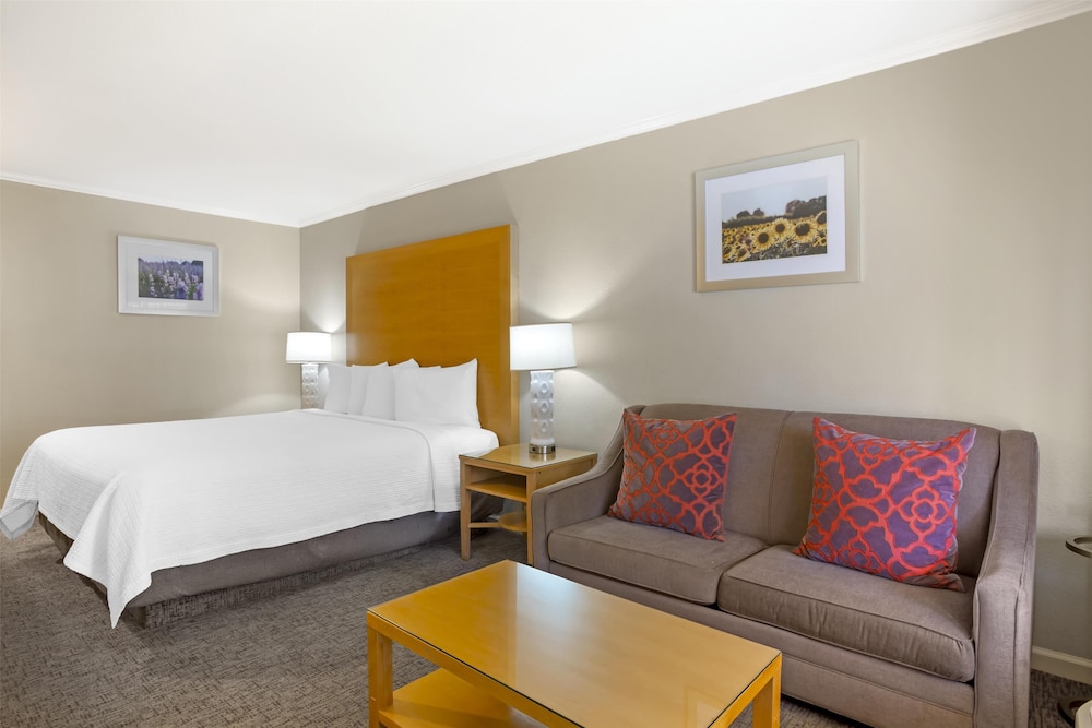 Standard, King Bed, Accessible