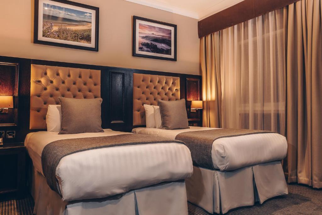 Deluxe, Twin Beds, Accessible