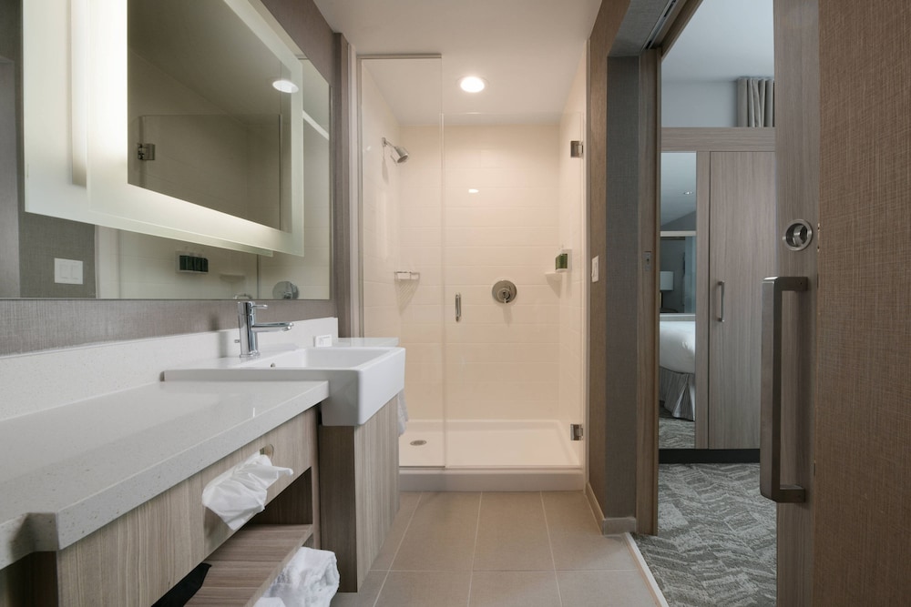 SpringHill Suites by Marriott Texas City 8/41