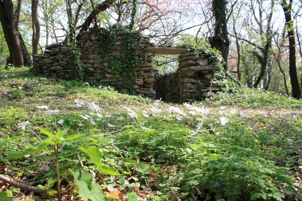 Agriturismo I Sicomori 26/48