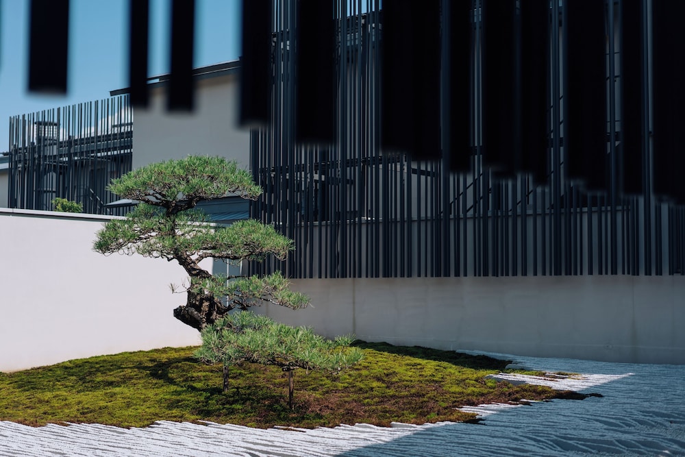 MUNI KYOTO 45/50