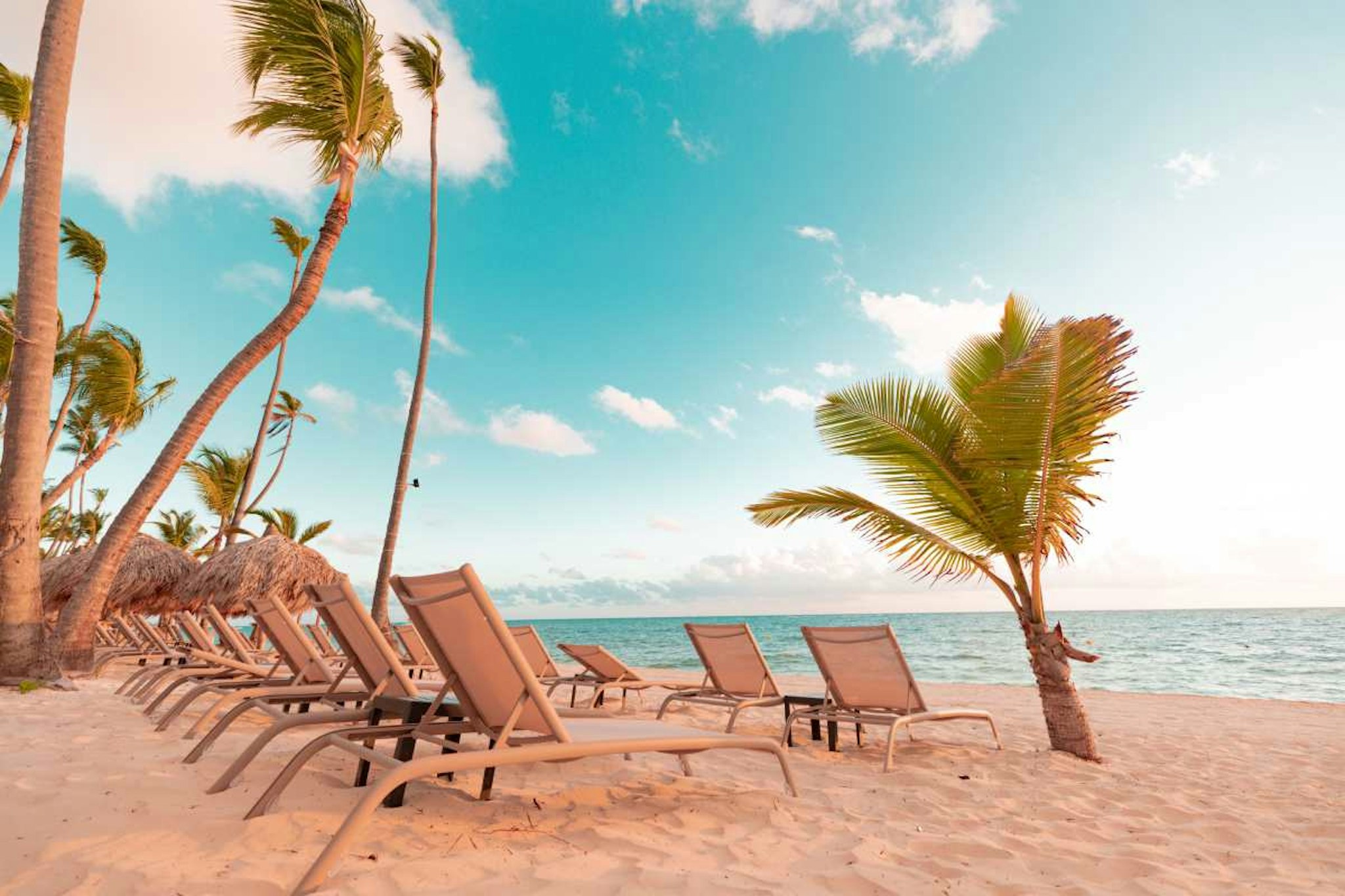 Trs Turquesa Punta Cana Adults Only All Inclusive Resort 14/16