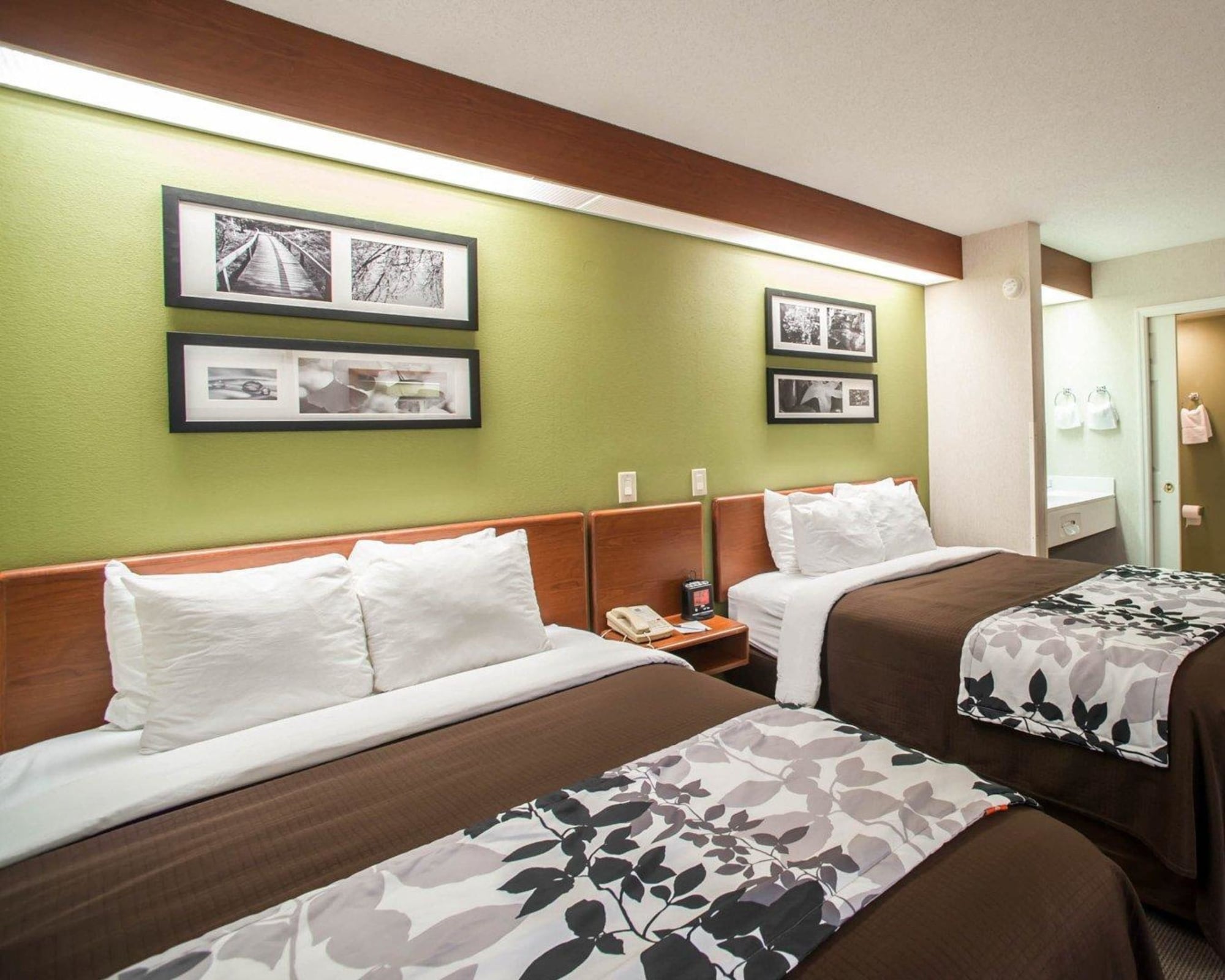 ROOM, QUEEN BED, ACCESSIBLE