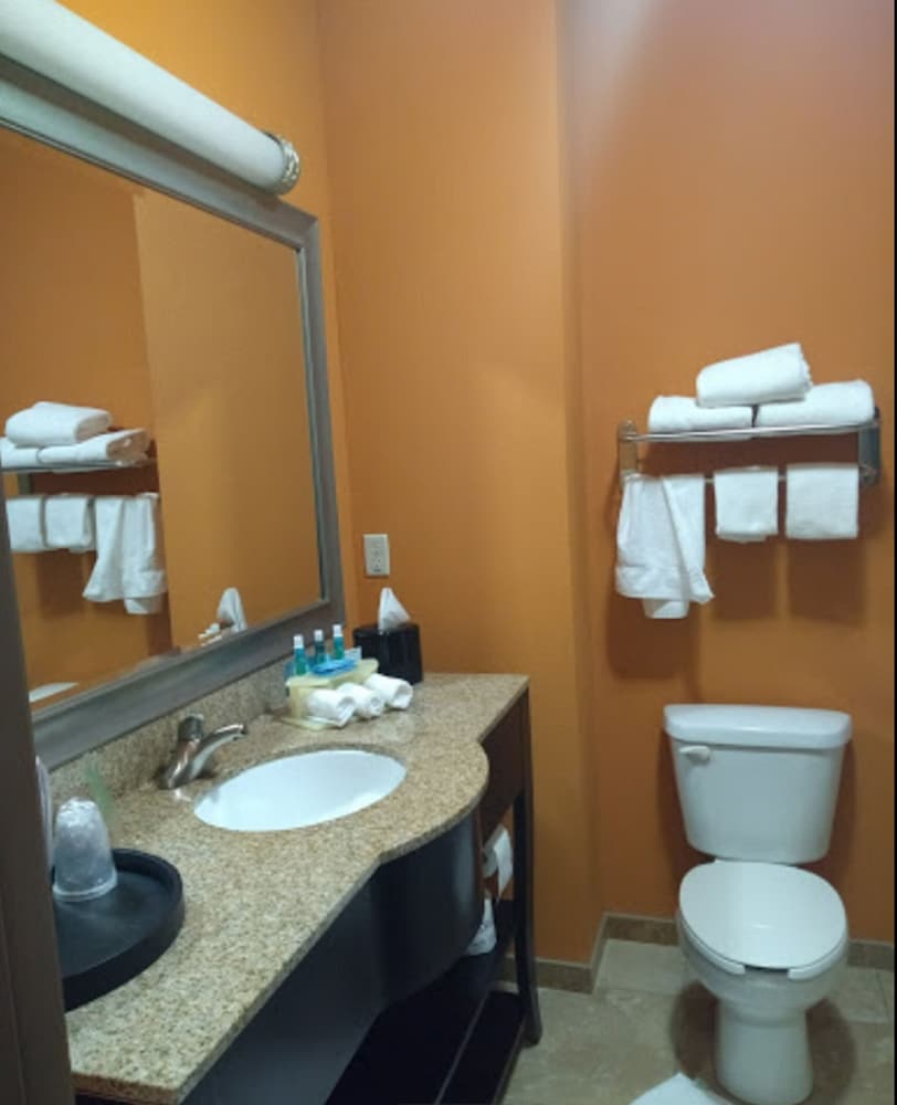 Holiday Inn Express Hotel Suites Corpus Christi Portland 21/54