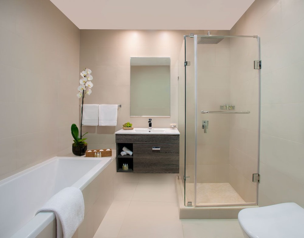 اسكوت رافال العليا(ASCOTT RAFAL OLAYA RIYADH) 20/69
