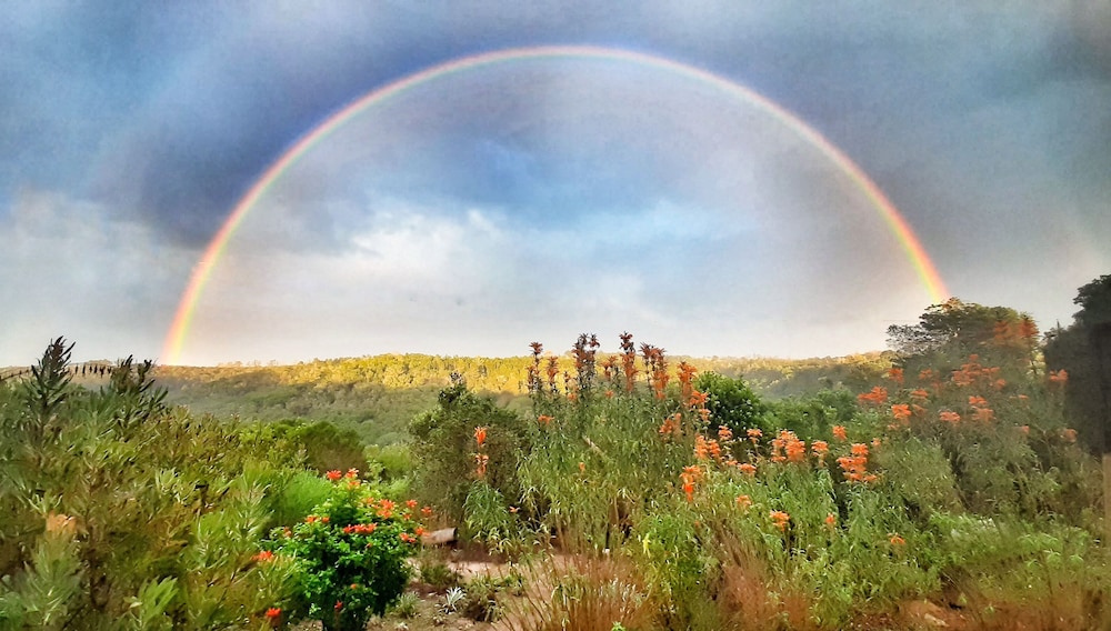 Woodlands Self Catering Knysna 28/37