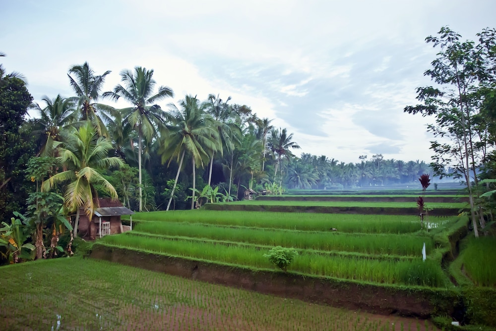 Junjungan Suite Villa 66/68