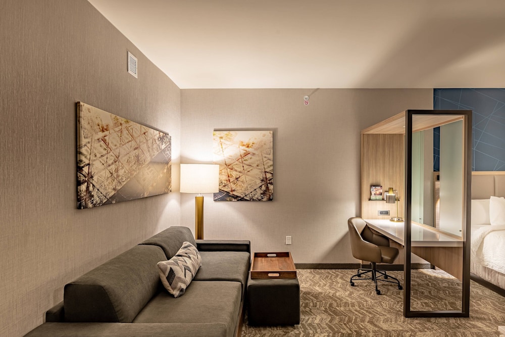 Springhill Suites By Marriott Dallas Mckinney/Allen 21/30