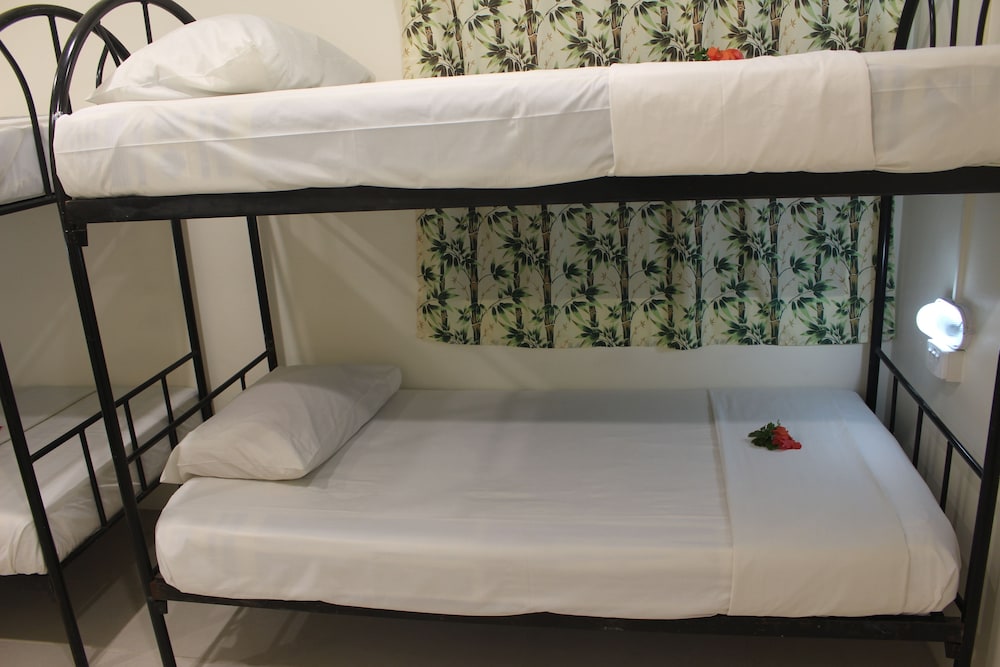 Bamboo Backpackers 14/48