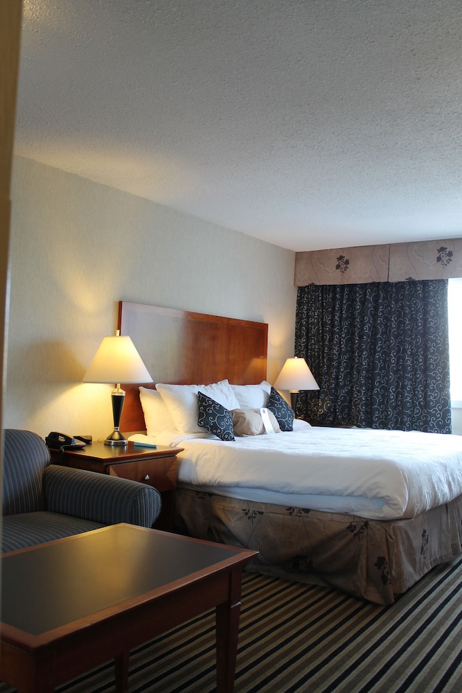 Best Western Plus Suites Downtown 9/42
