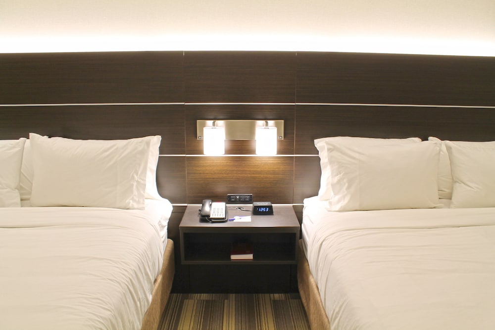 Holiday Inn Express Suites St Louis South I 55 11/52