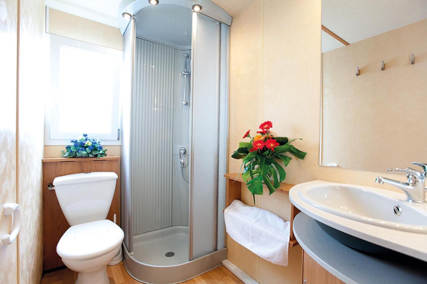 Mobile Home