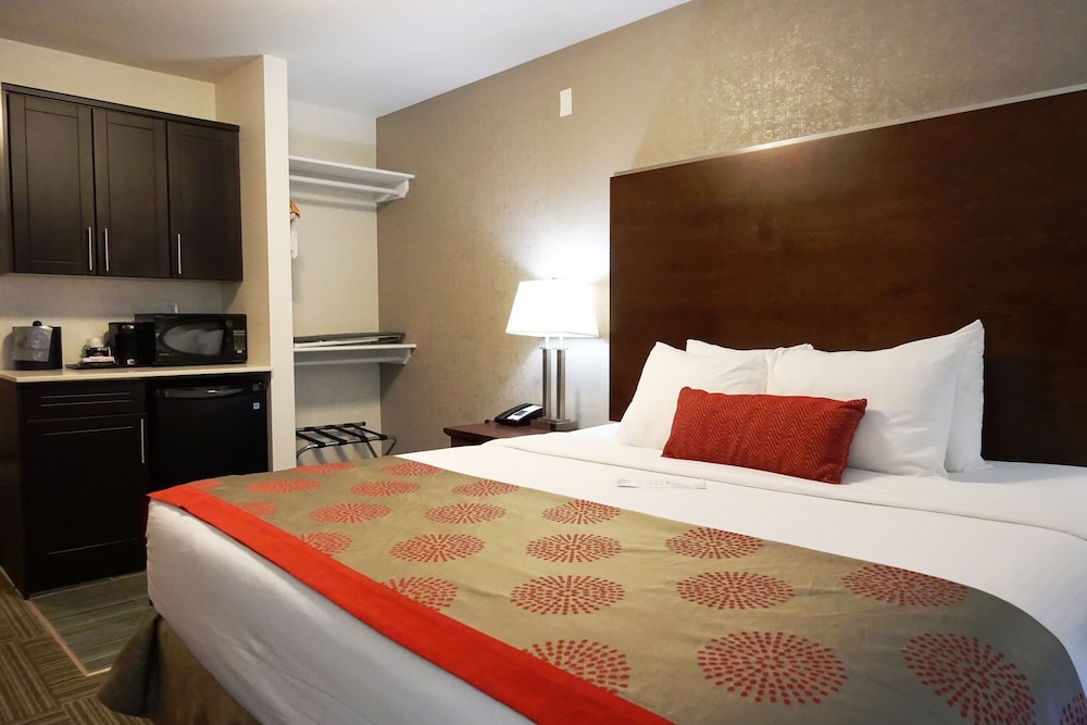 Room, King Bed, Accessible
