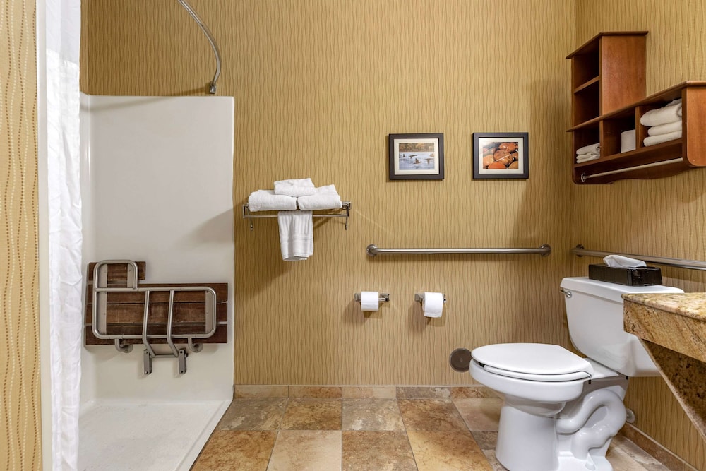 Comfort Inn Wings Stadium 17/29