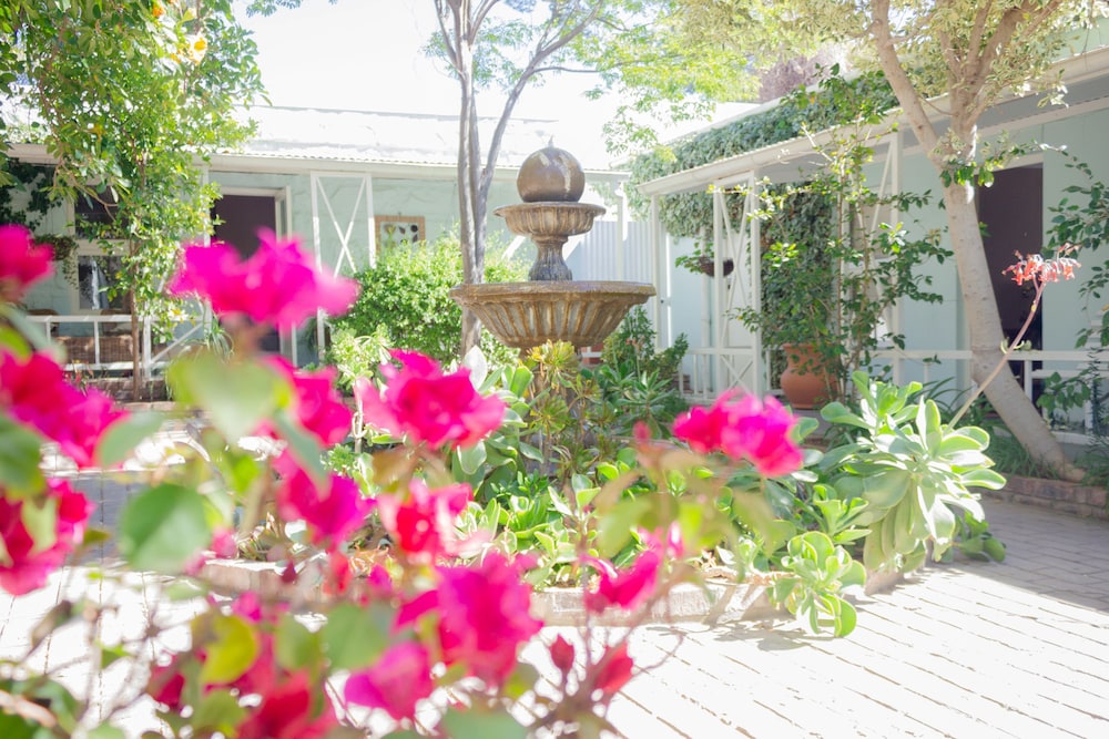 Adley House Guesthouse 43/47