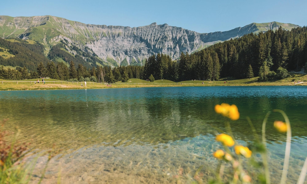 Novotel Megeve Mont-Blanc 61/66