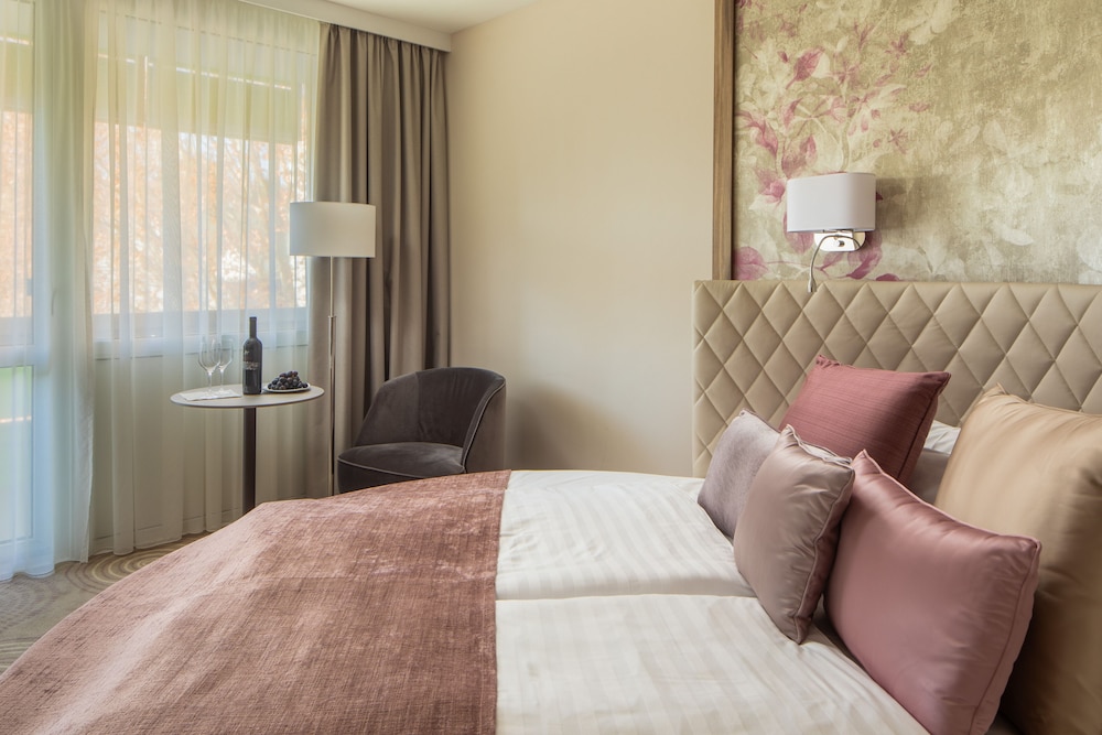 Hotel Carbona Thermal Spa 47/72