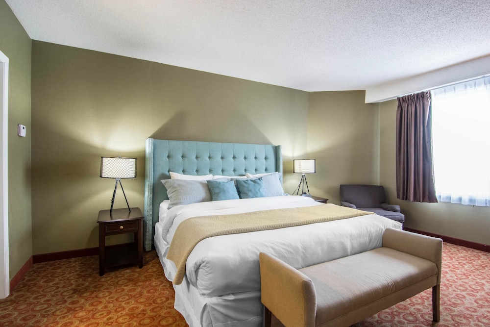 Quality Hotel Drumheller 15/40