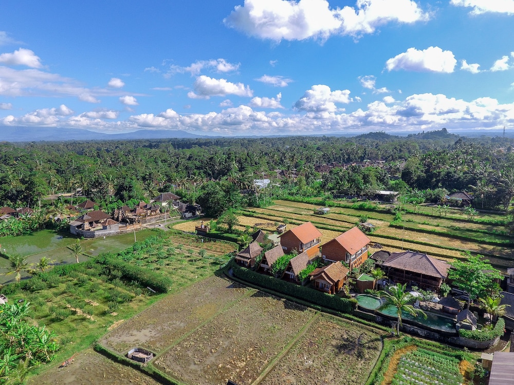 Alam Kawi Ubud Resort & Spa 38/45