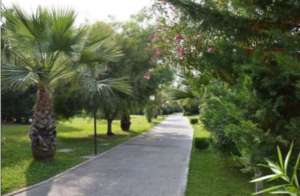 surroundings