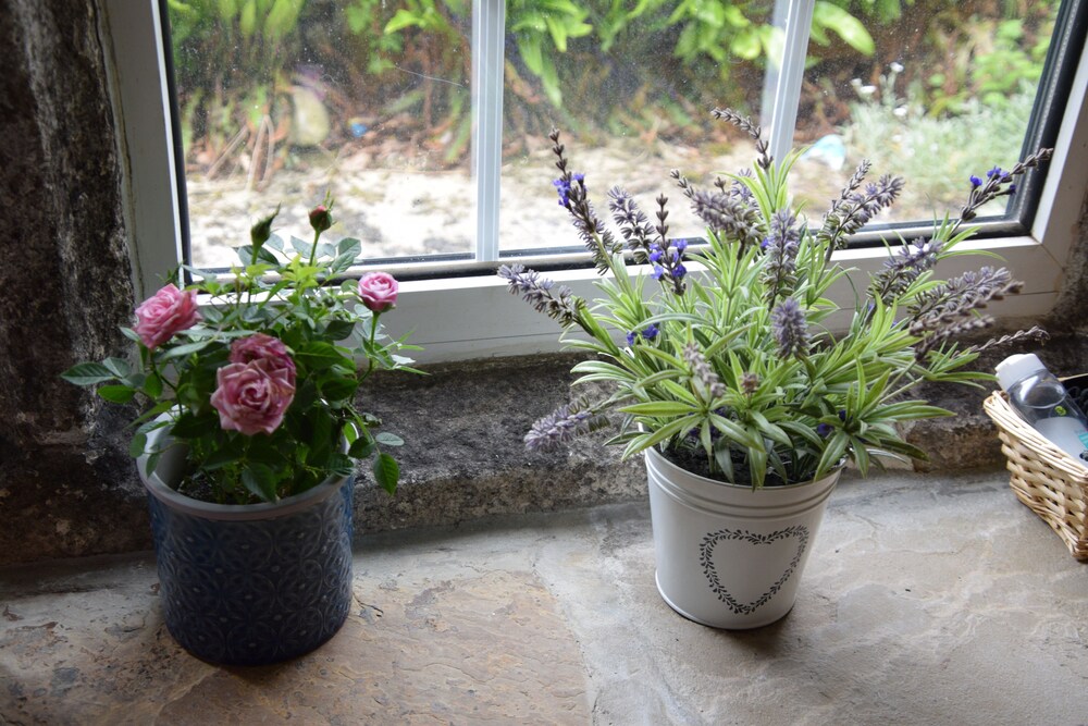 Sweetbriar Cottage B&B 32/49