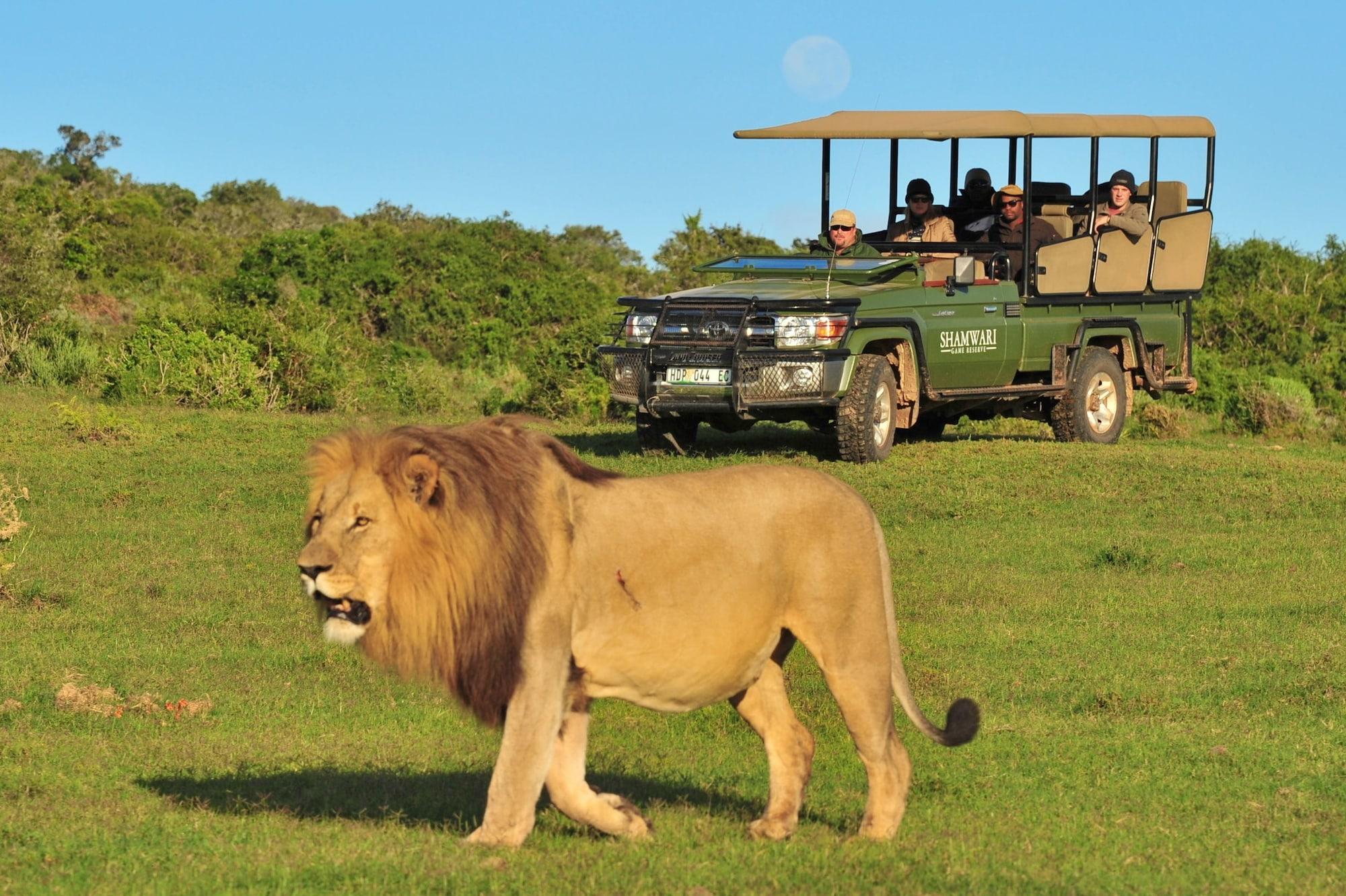 Shamwari Game Reserve - Eagles Crag 45/55