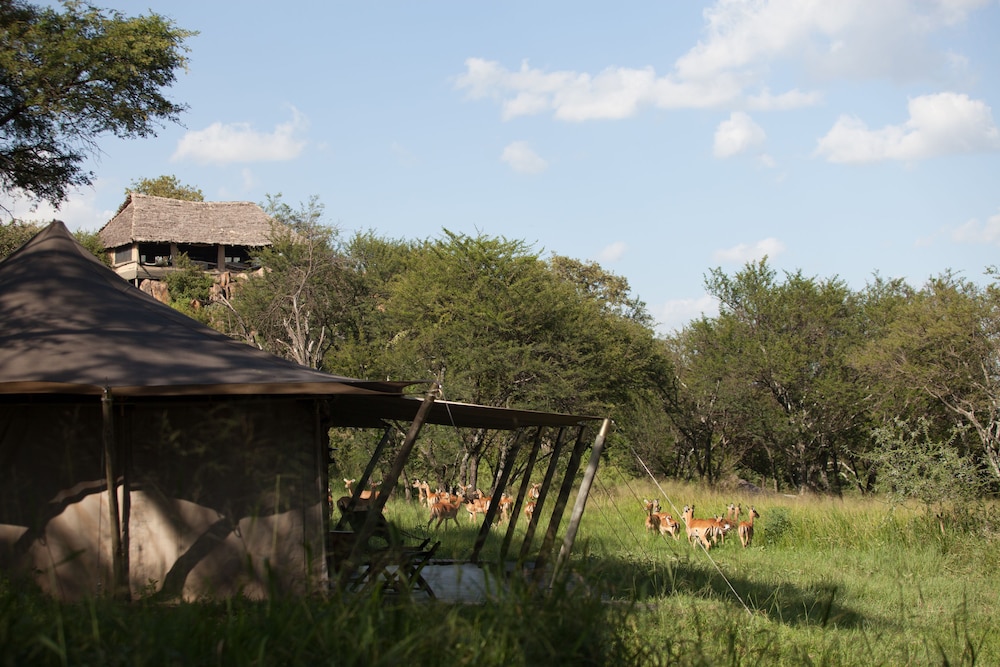 Serengeti Pioneer Camp 20/29