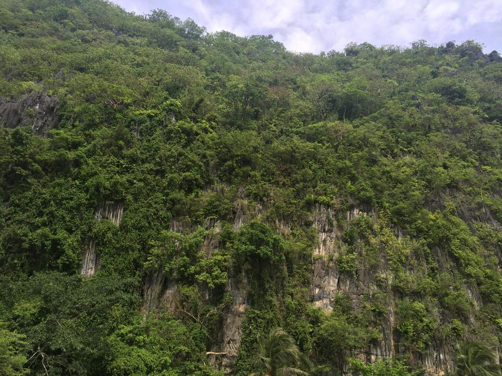 El Nido Viewdeck Cottages 30/41