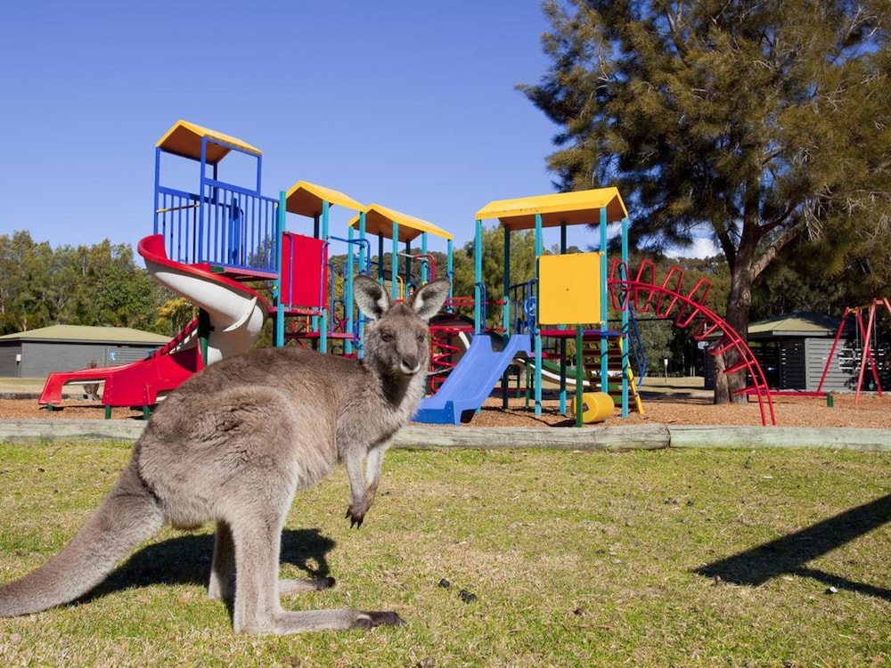NRMA Murramarang Beachfront Holiday Resort 33/52