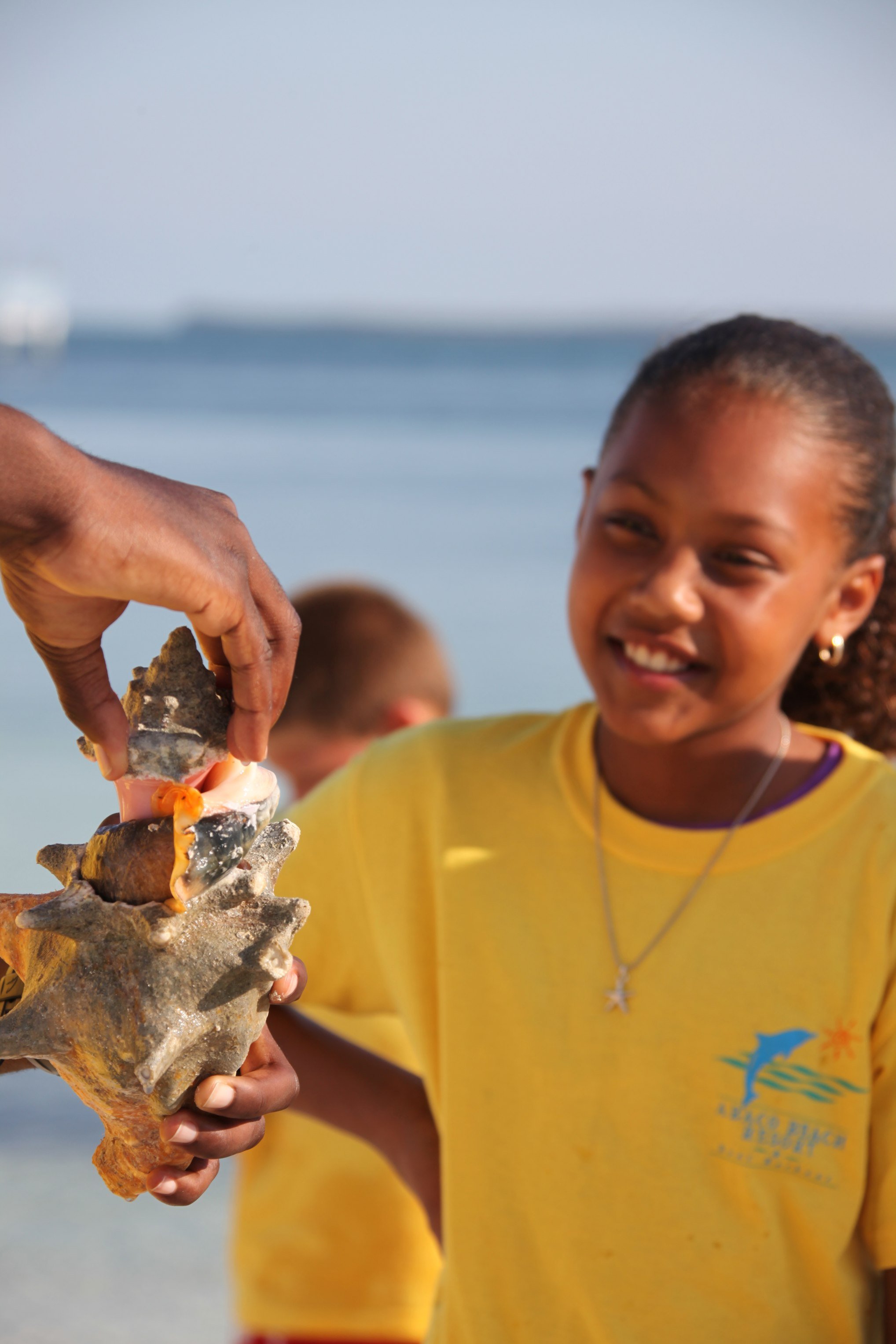 Abaco Beach Resort At Boat Harbor 14/100