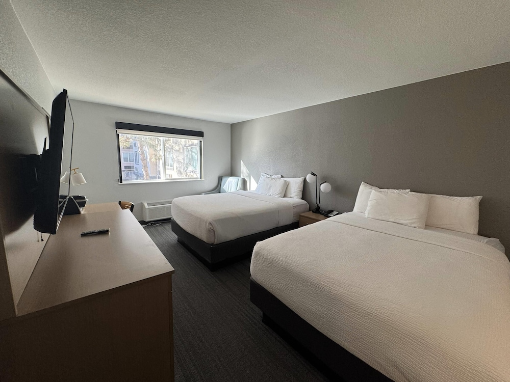 Room at Comfort Inn & Suites Denver West - Golden, GOLDEN - CO