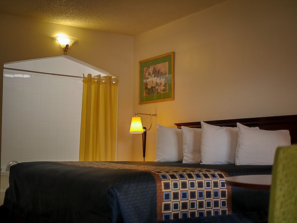 Americas Best Value Inn Chico 19/30