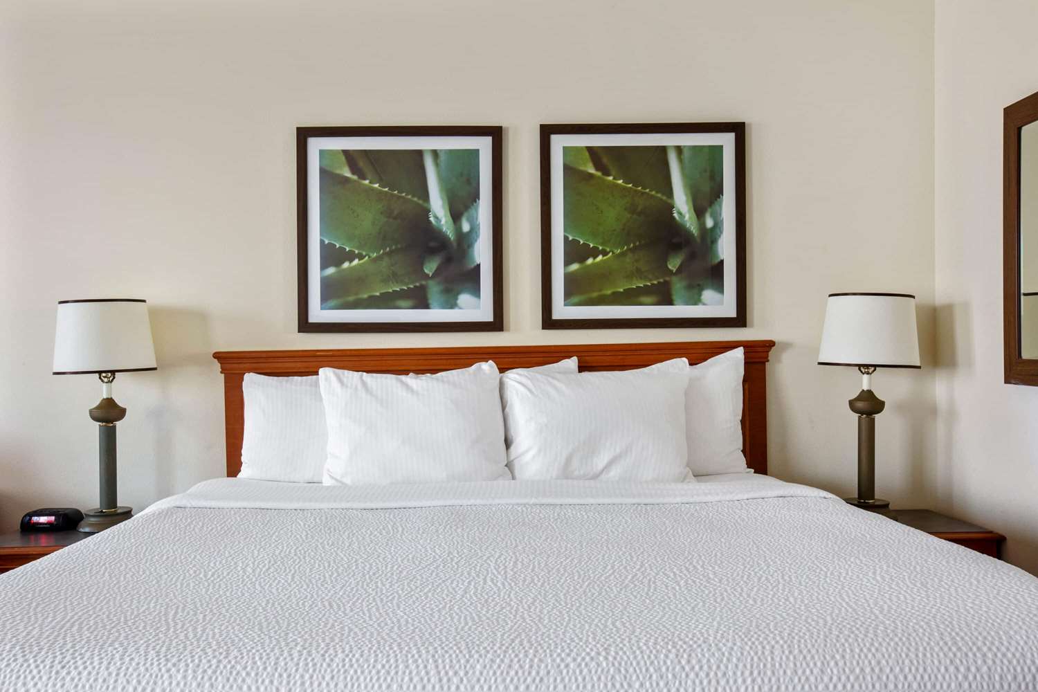 La Quinta Inn & Suites by Wyndham Sawgrass 12/55