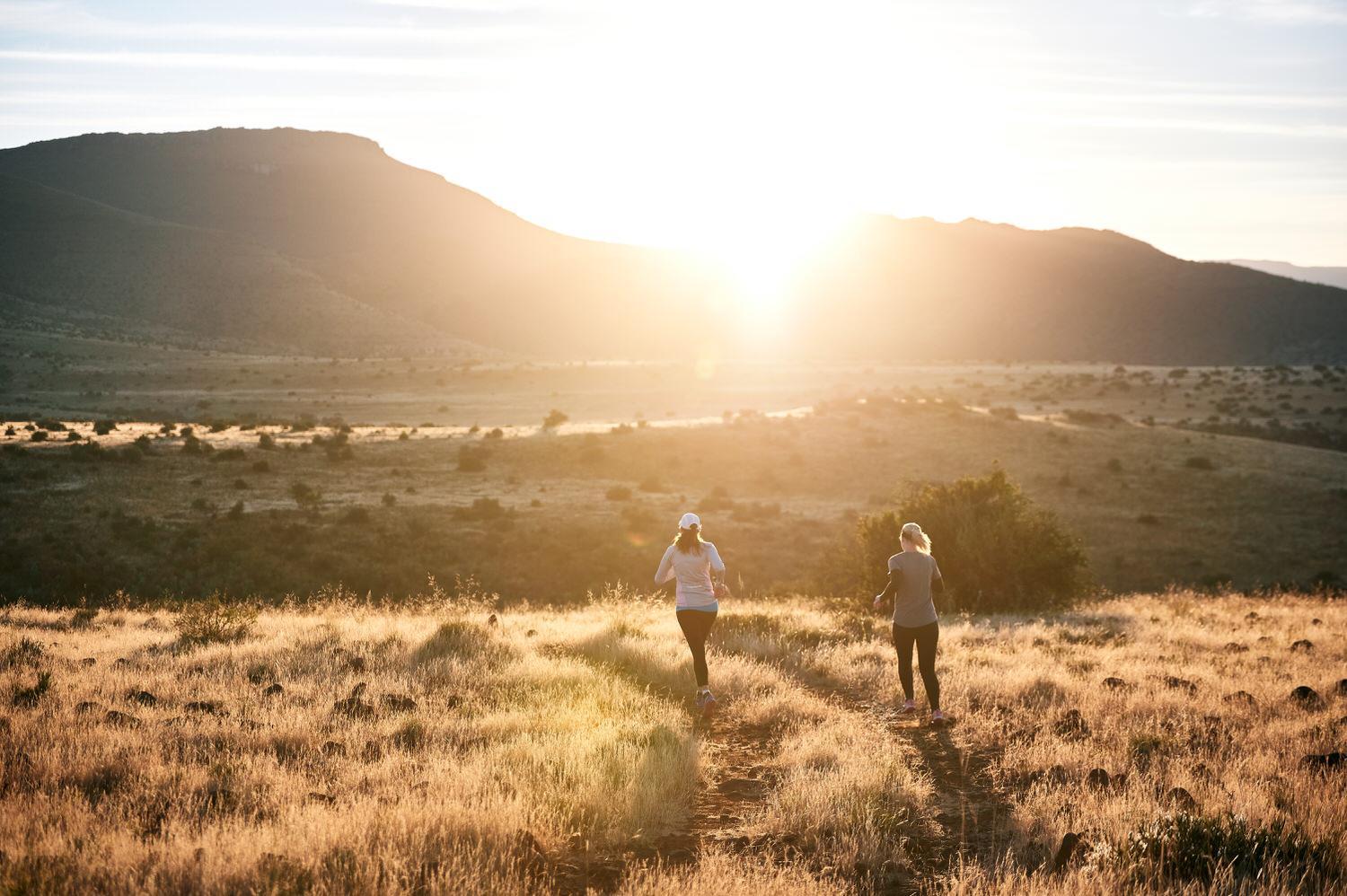 Glen Harry Game Reserve 19/44