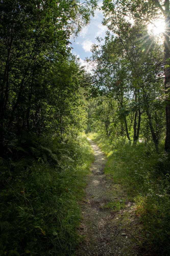 Tromso Camping 52/58