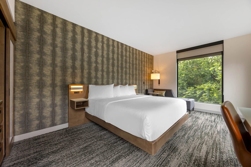 Suite, King Bed, Sofa, Accessible