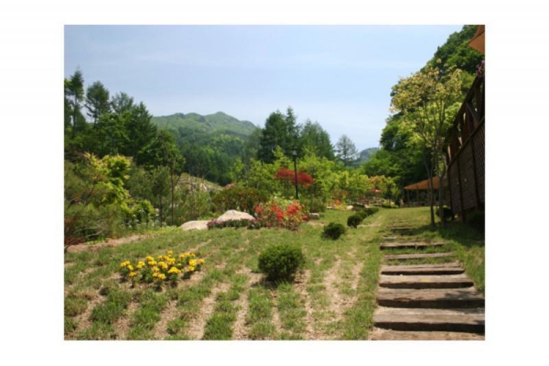 Yangpyeong Over The Mountain Pension 26/35