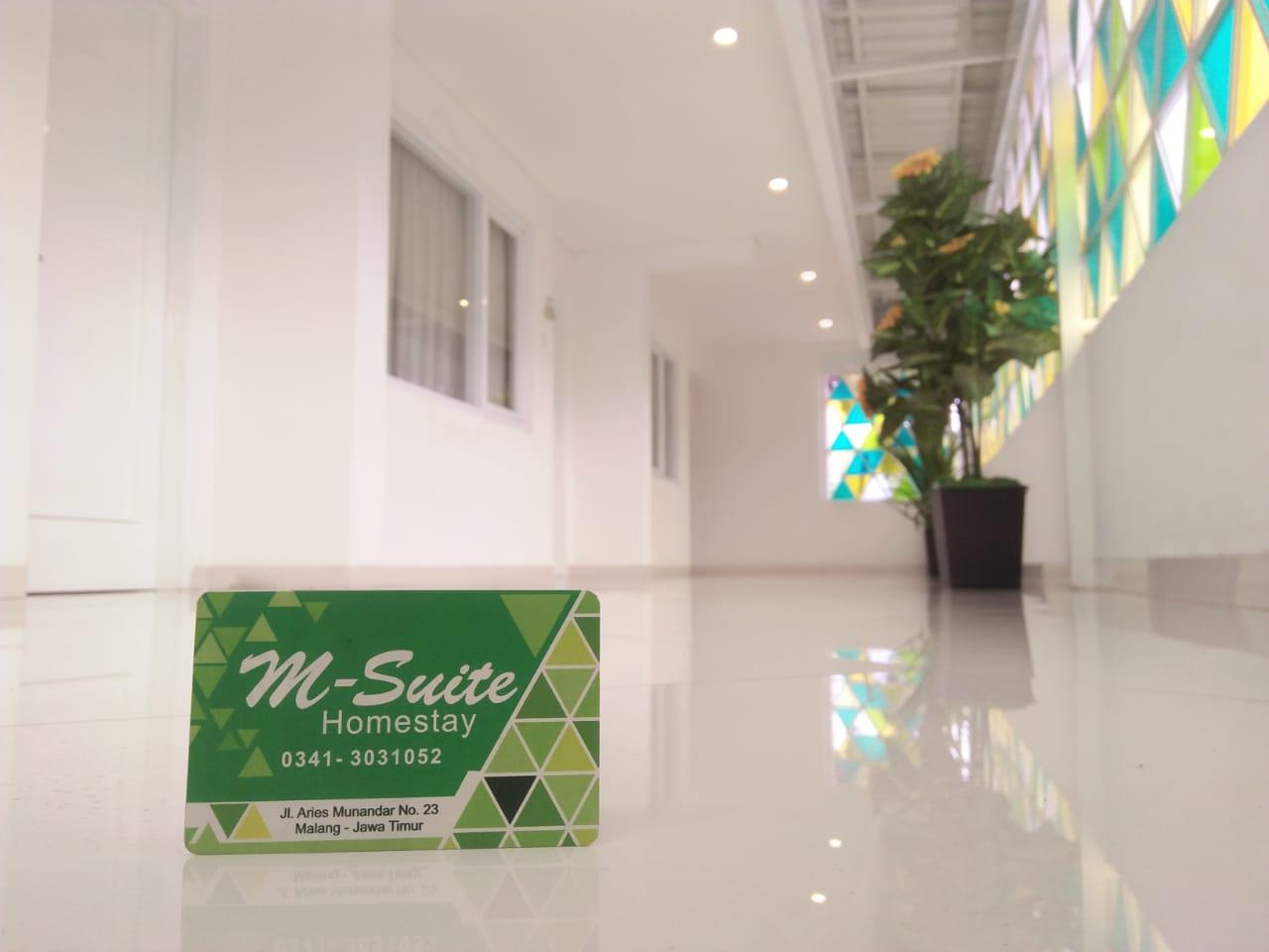 Oyo 272 M Suite Homestay 12/19