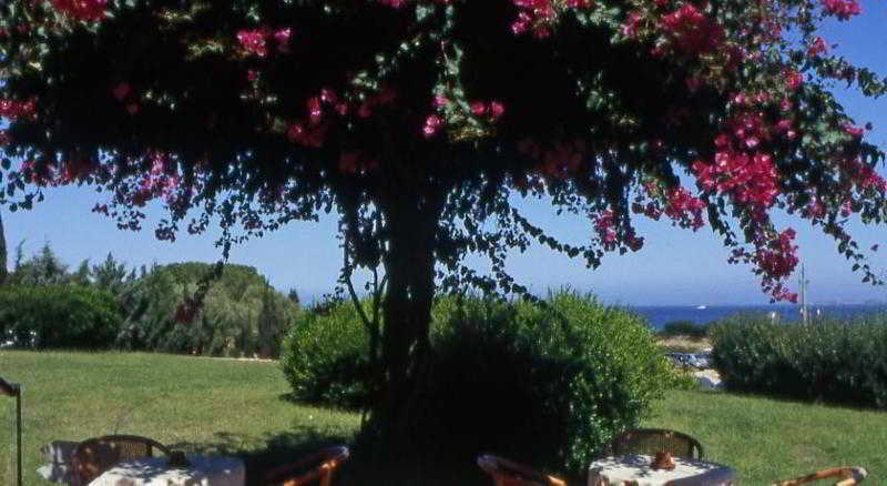 Stelle Marine 13/21