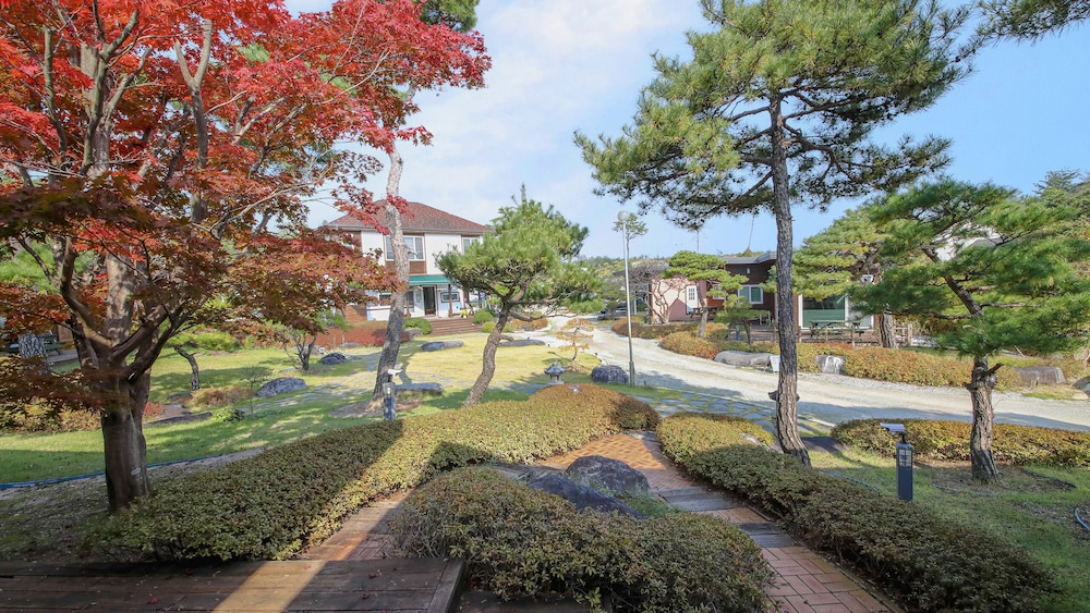 Gangneung Way To Gyeongpodae Pension 46/50