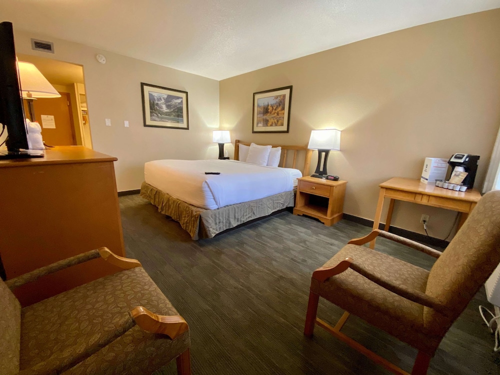 Standard, King Bed, Pet Friendly