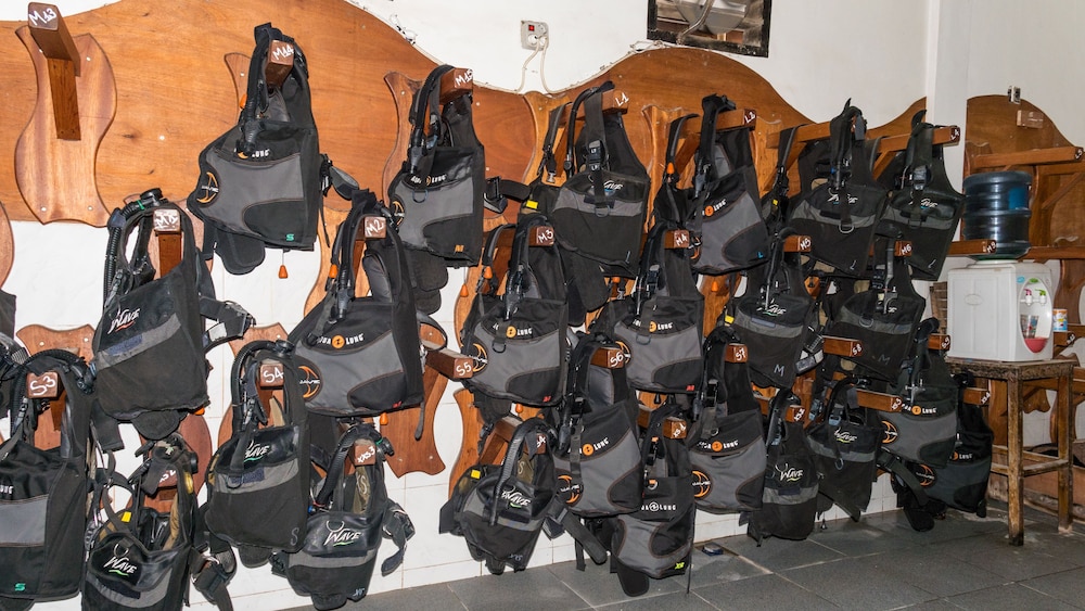 Dream Divers 25/40