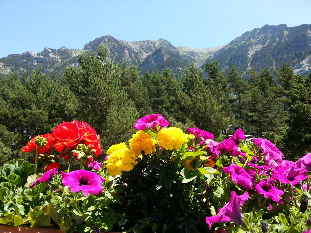 Villa de Canfranc 16/18