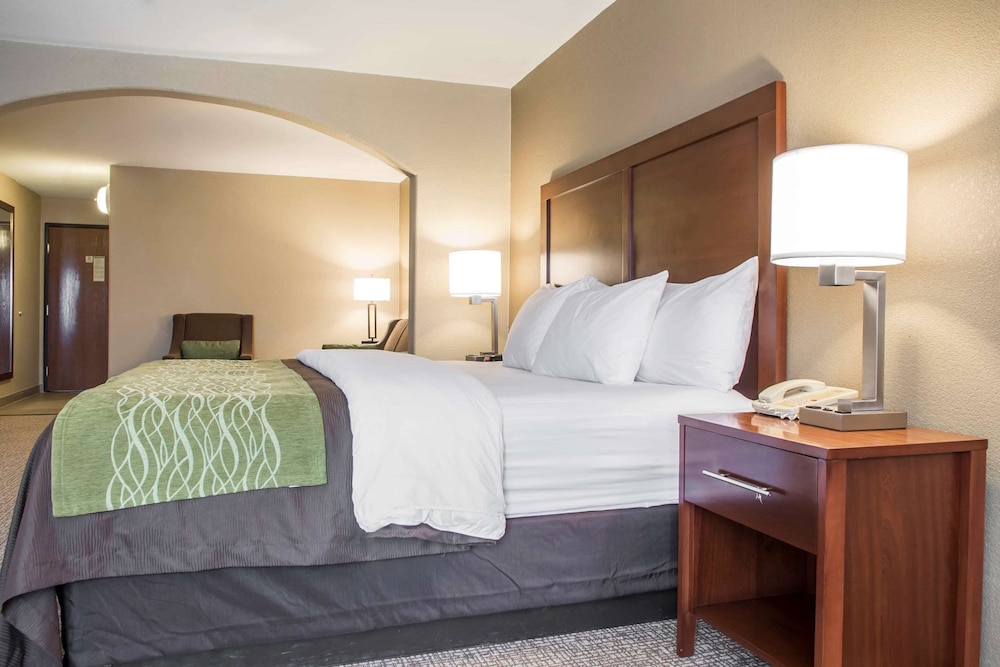 Comfort Inn Edinburg South Texas 16/46