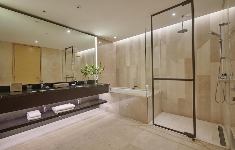 حياة ريجينسي(Hyatt Regency Riyadh Olaya) 33/75